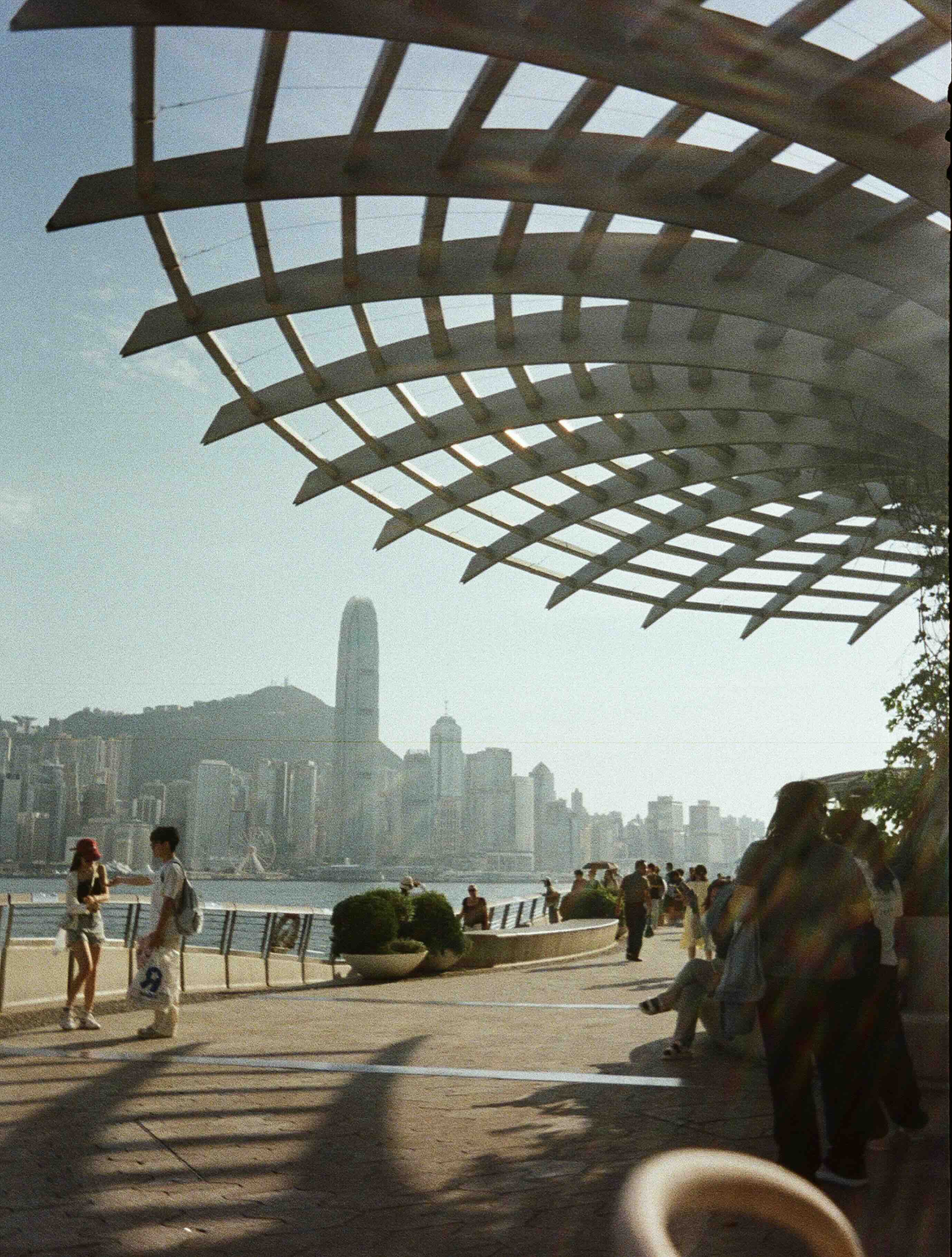 Stephen Haskins photograph 3